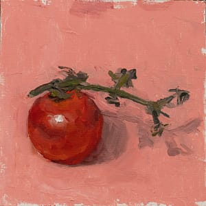 Red on Pink Oil Sketch